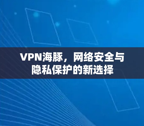 VPN海豚，网络安全与隐私保护的新选择