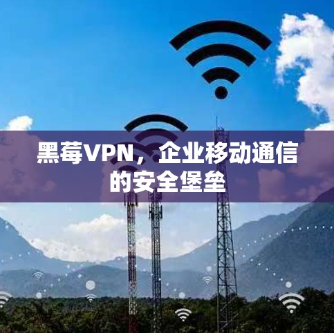 黑莓VPN，企业移动通信的安全堡垒